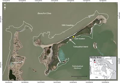 Microbial Greenhouse Gas Dynamics Associated With Warming Coastal Permafrost, Western Canadian Arctic